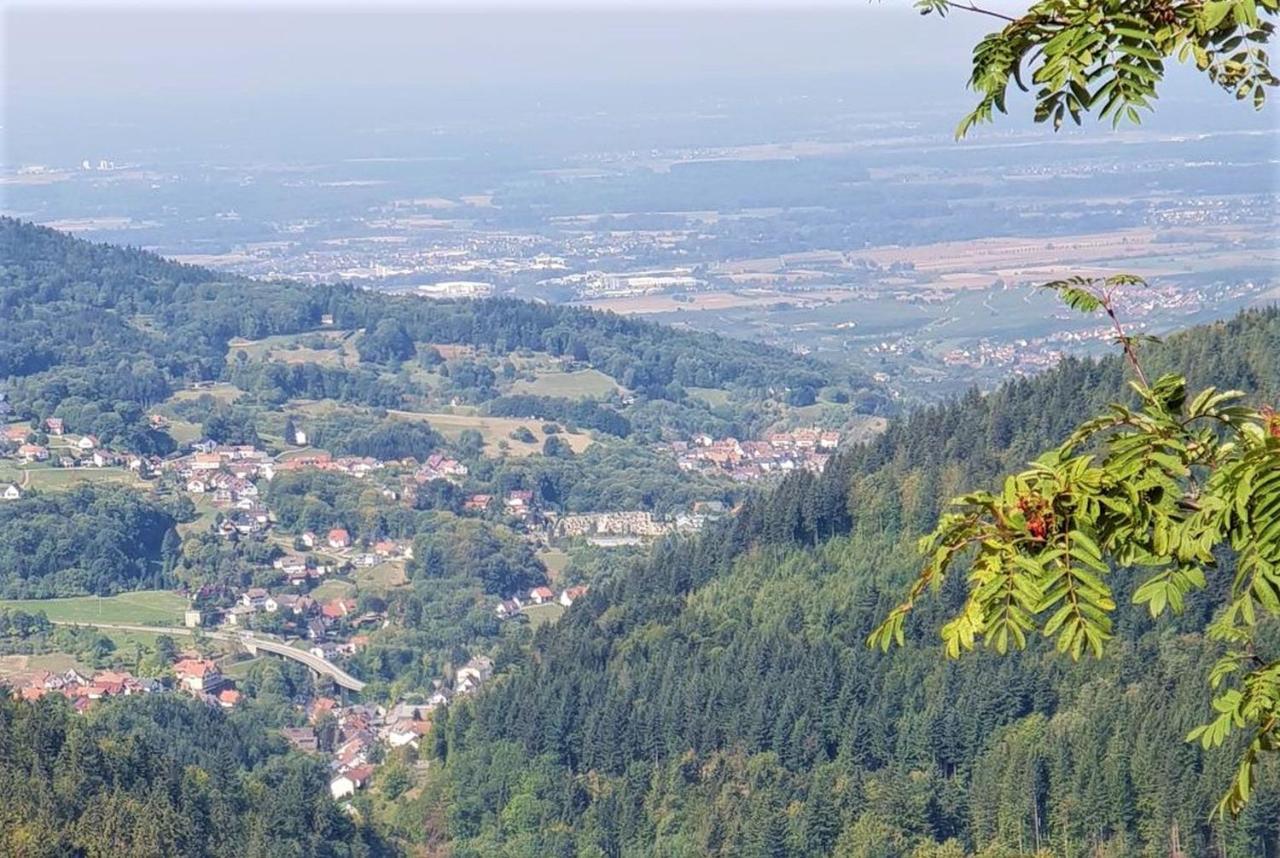 Ferienwohnung Paradies Weier Exterior foto